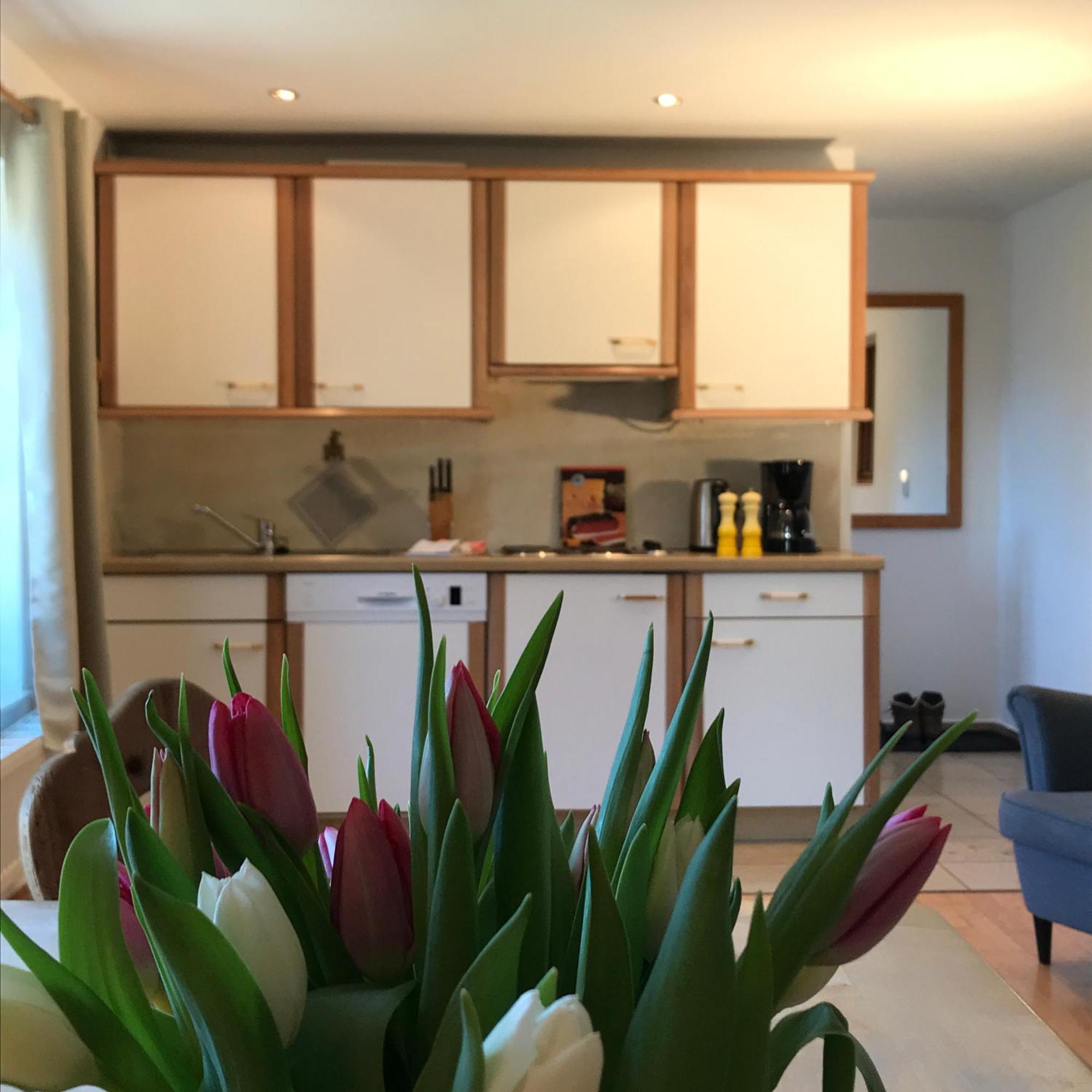 Gaestehaus Maria Theresia Apartment Schliersee